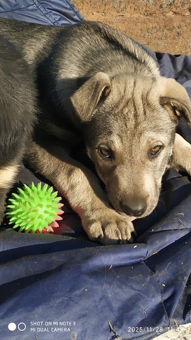 Ищу своих мампап.