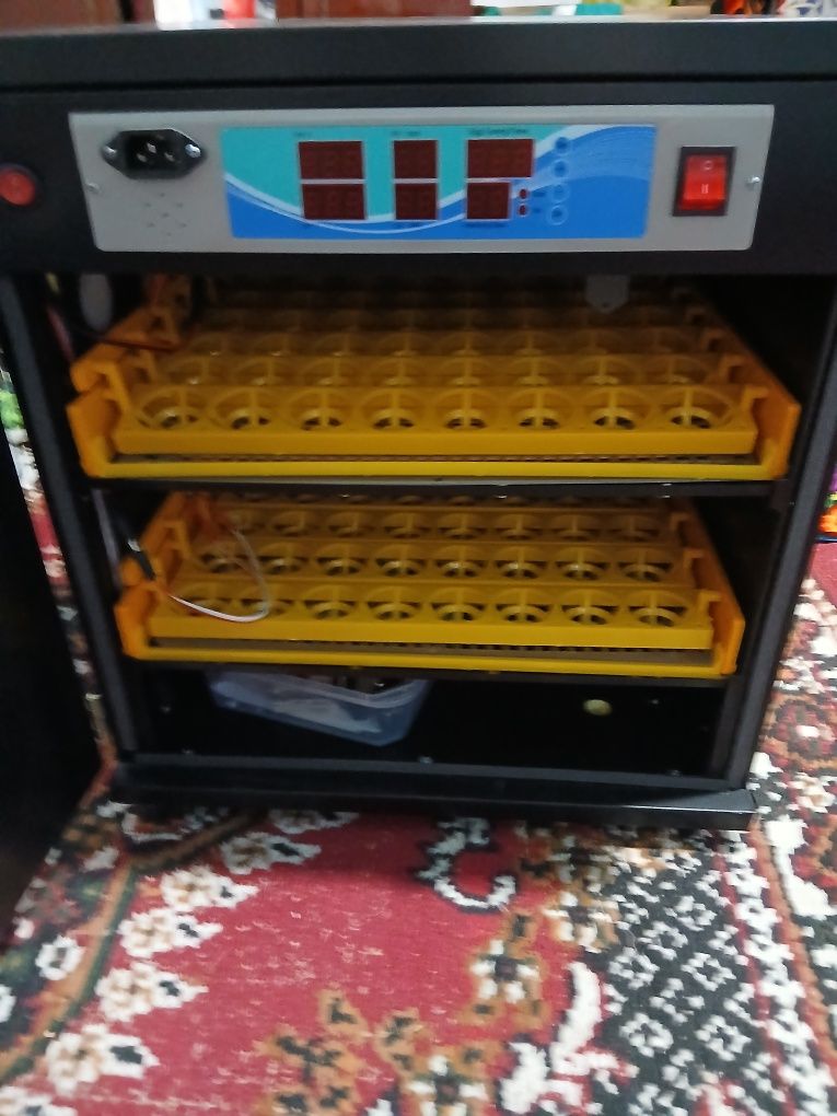 Inkubator original