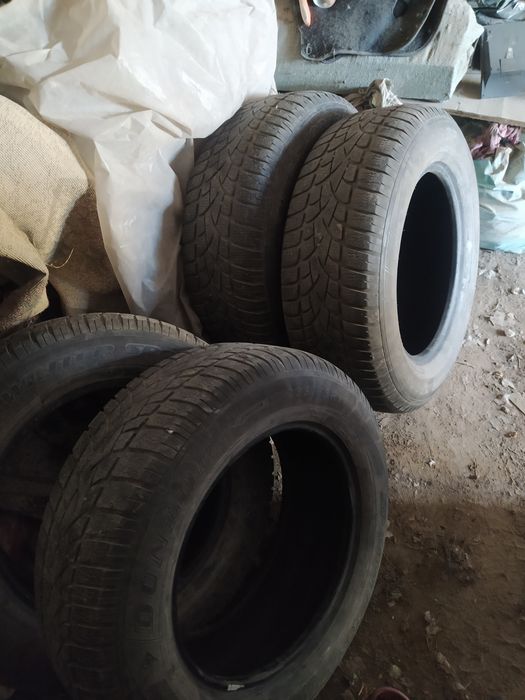 Шины зимние Dunlop