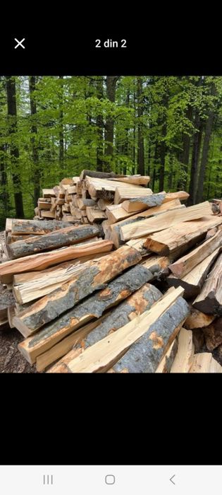 Lemn de foc fag la metru