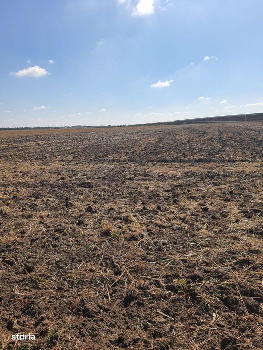 Teren  Extravilan 7.802 Mp –Domnesti, Ilfov