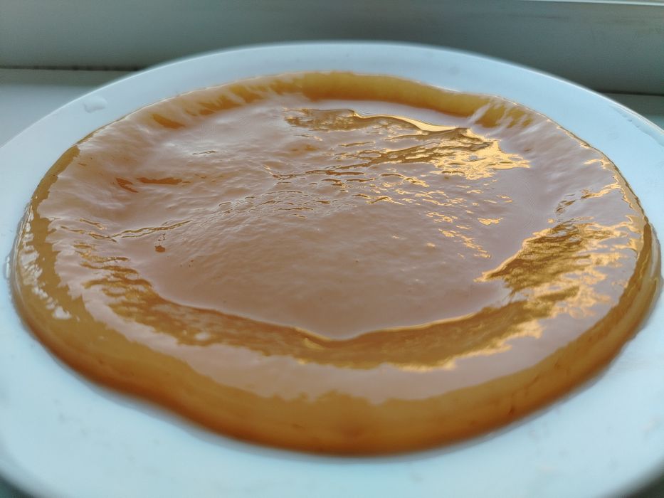 Продаётся Чайный гриб