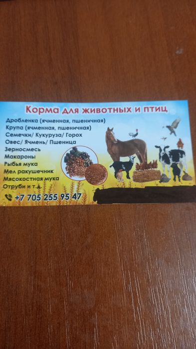 Корма для животных и птиц