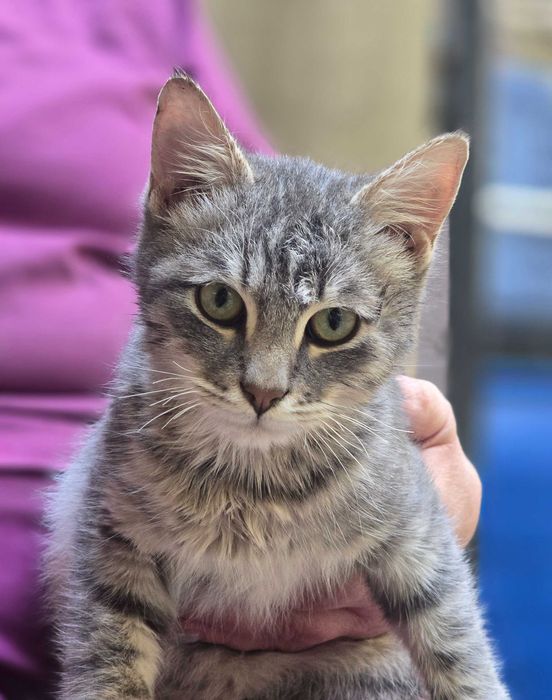 Малыш ищет семью!