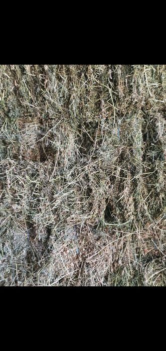 Baloti de lucerna ,baloti lucerna ,vând baloti de luterna ,ofer transp