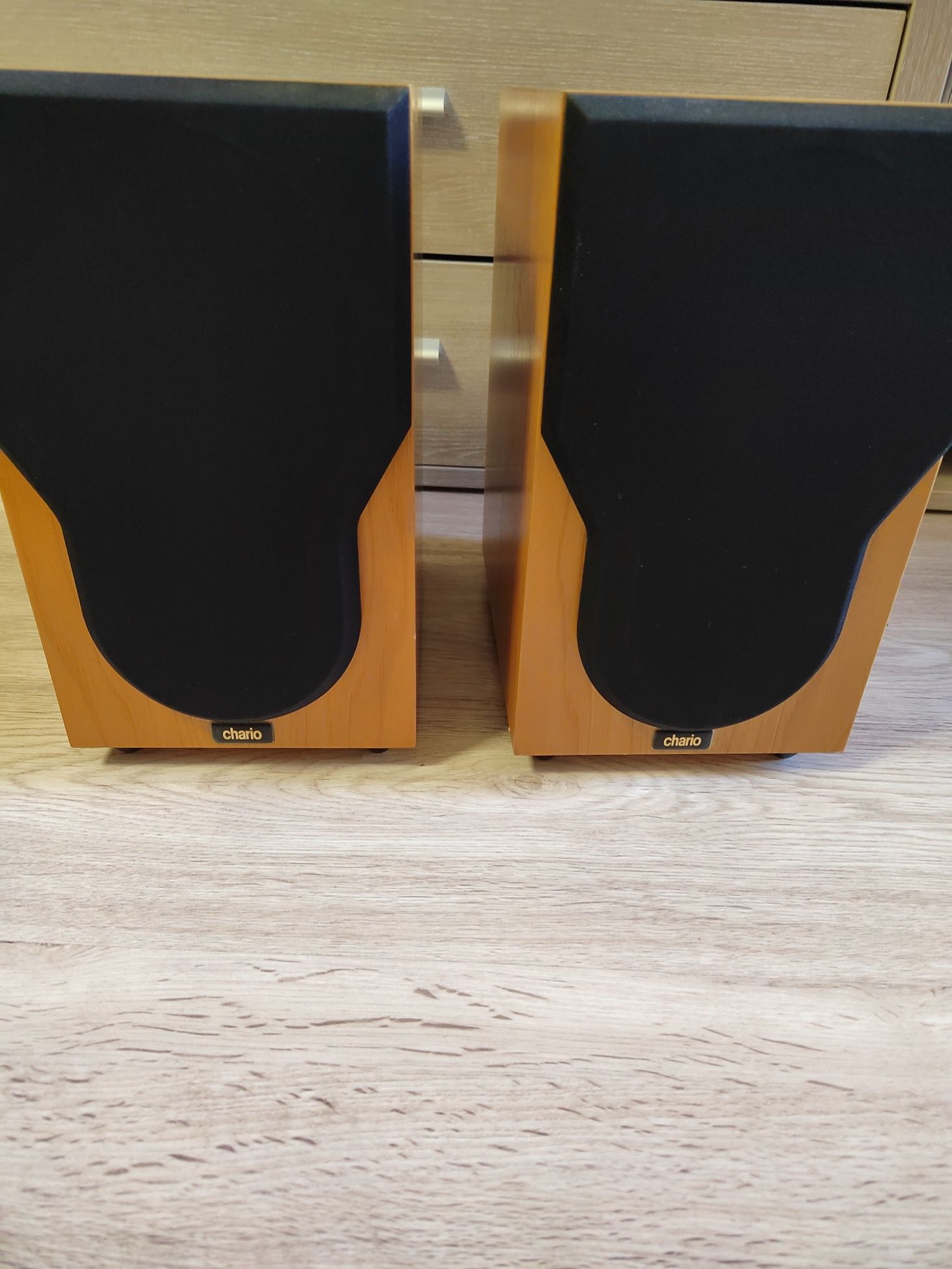 Chario Syntar 100