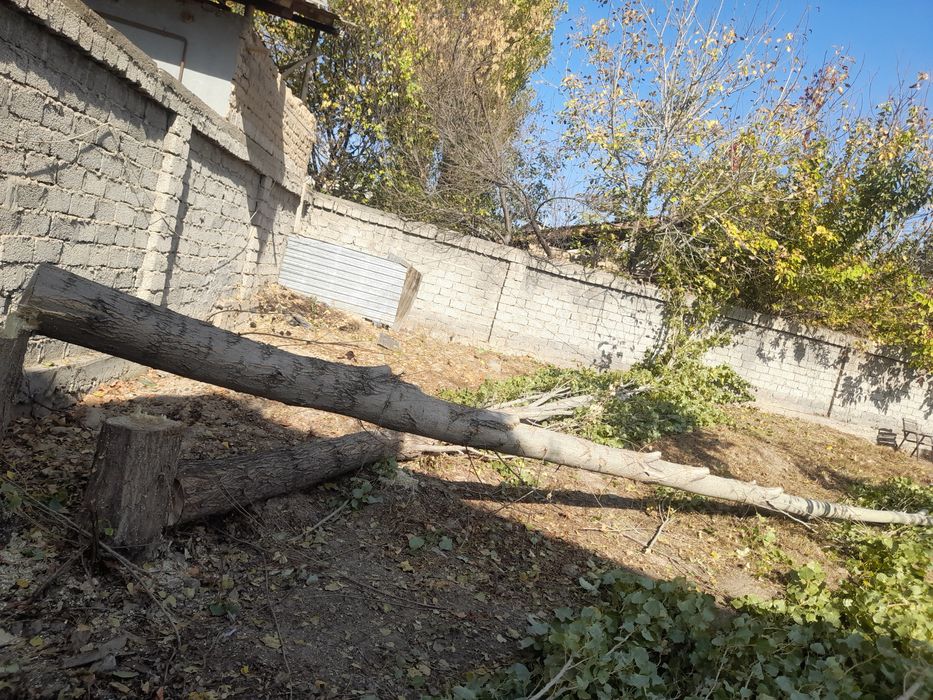 2 дона терак сотворамиз тосинга ишлатса болади