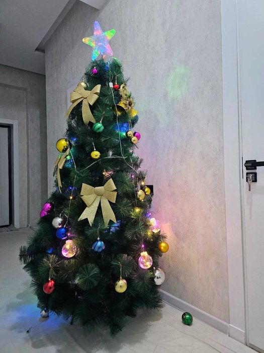 Archa arzon narxda va srochni sotiladi