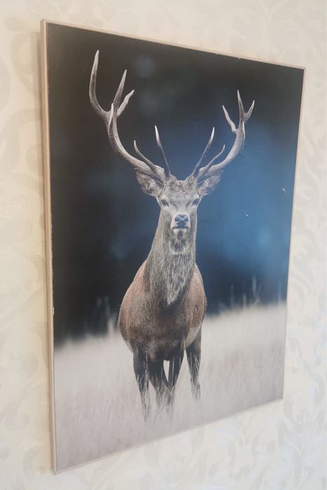 Антикварна фотография благороден елен рамкирана за закачане на стена