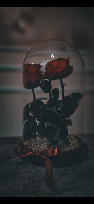 Trandafiri criogenați