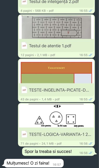 Teste psihologice MAI/MAPN/ANP/SGP