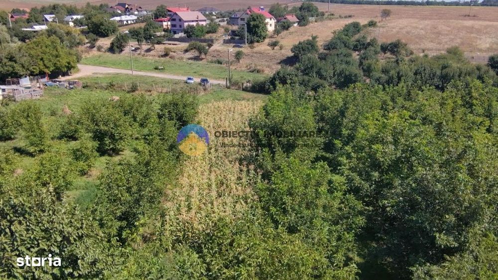 Teren de vanzare 1935 mp Piatra Neamt - Str. Plantelor