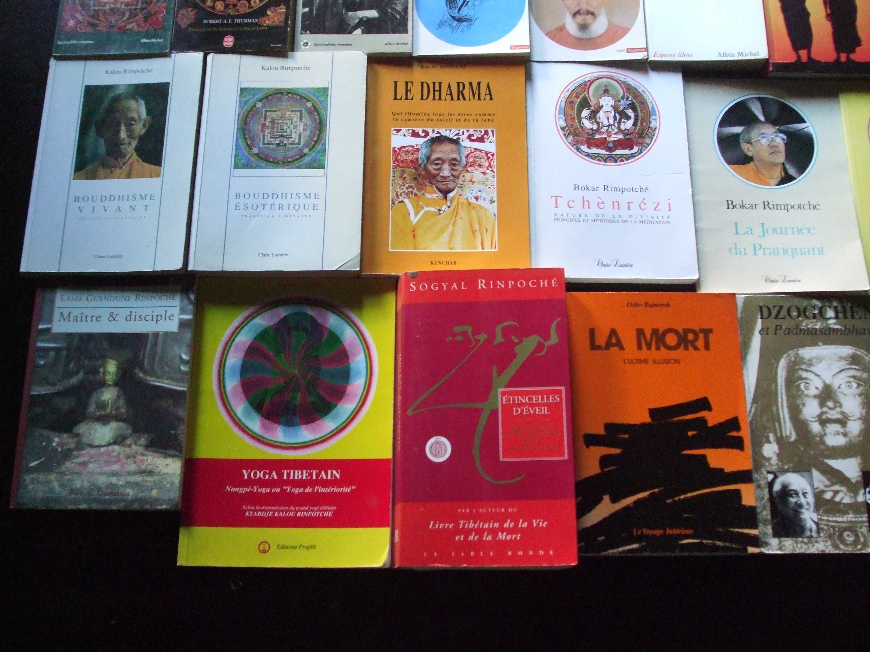colecţie cărți budhism_tibetan, indian, zen, dao_în limba franceza