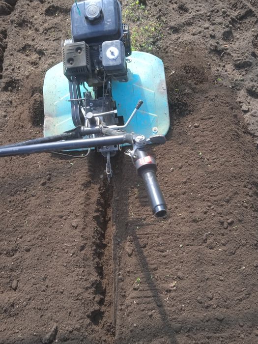 Обрезка деревьев опрыскивание