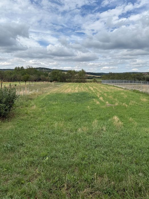 Casă de vânzare – Ineu de Cris, Bihor – 220 m², teren 2000 m²