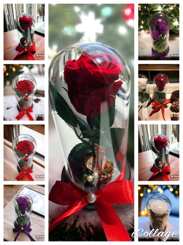 Cupola 1-3 trandafiri criogenati cadou aniversar zi de nastere