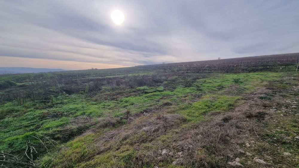 Teren Aribeanu Sorogari