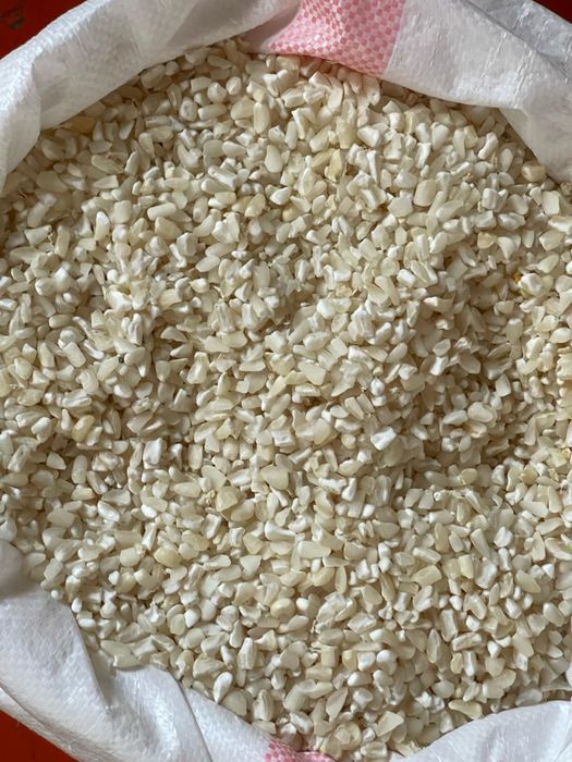 Ақ жүгері көженің жүгерісі