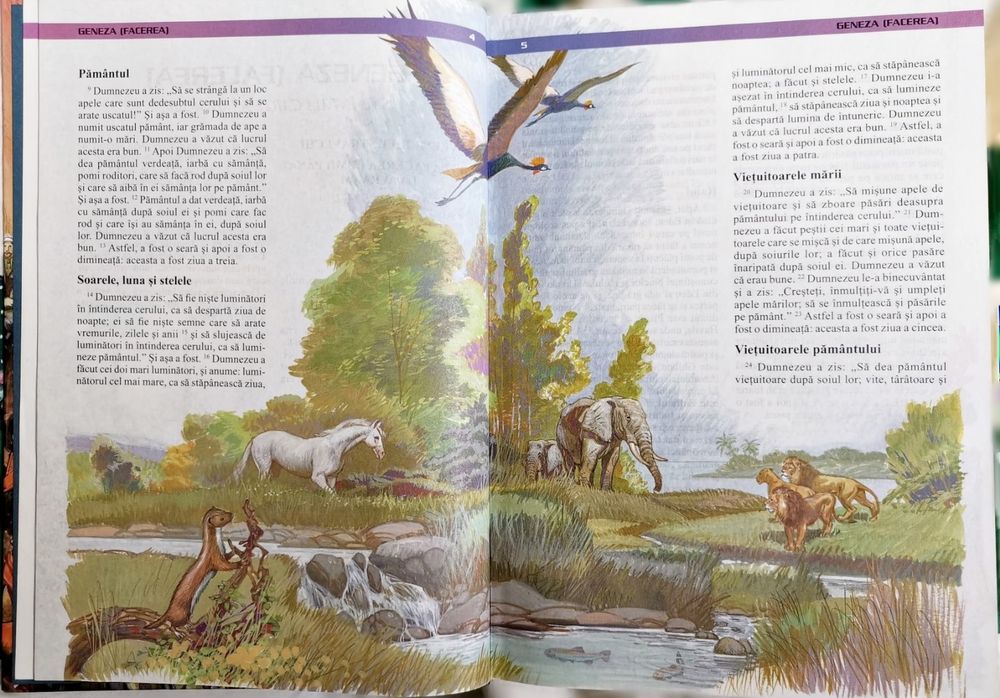 Biblia cu ilustrații de lux Nouă