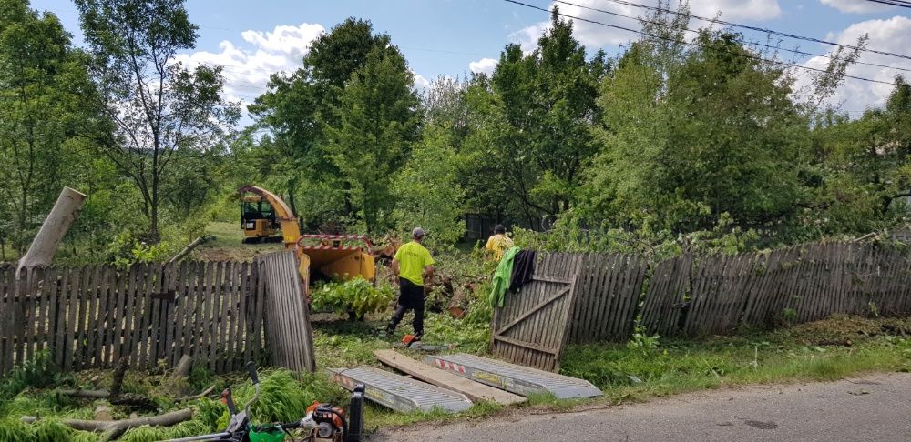 Defrisare curatare cosire tocare arbusti iarba rugi maracini ambrozie