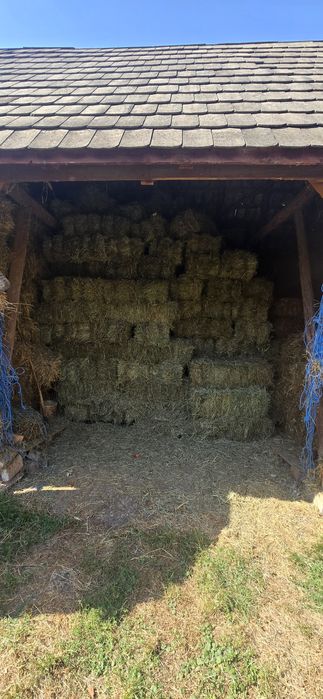 Vând baloti de fân și otavă