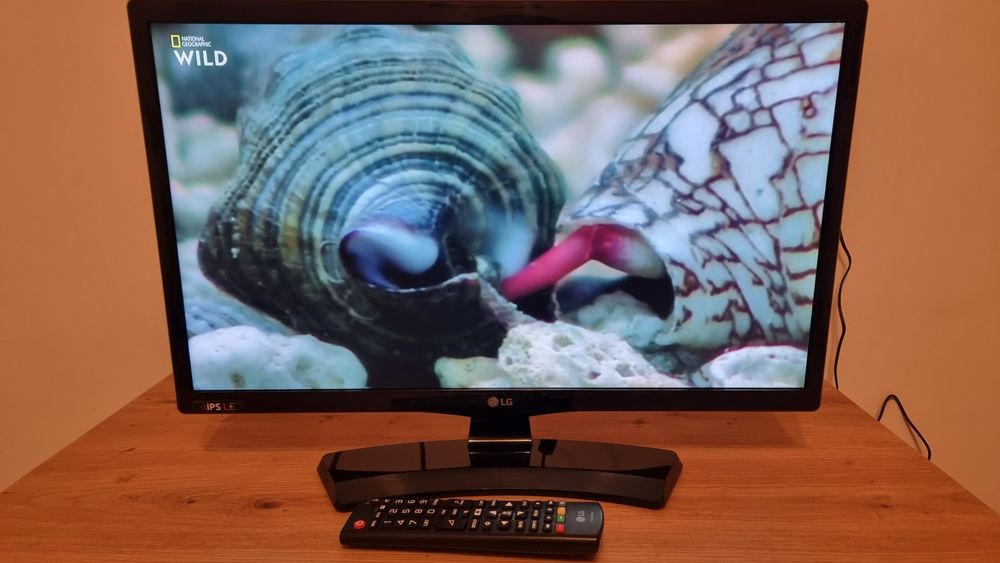 TV Monitor LG 22MT48DF 22" 55cm