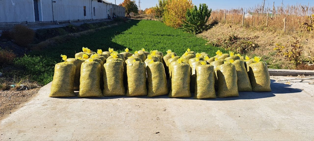 Silos sotiladi kg 1200 so'm