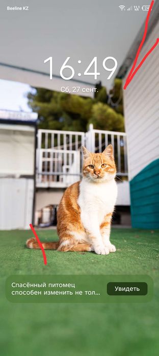 Парень массажист в Шымкенте только женщинам и девушкам.