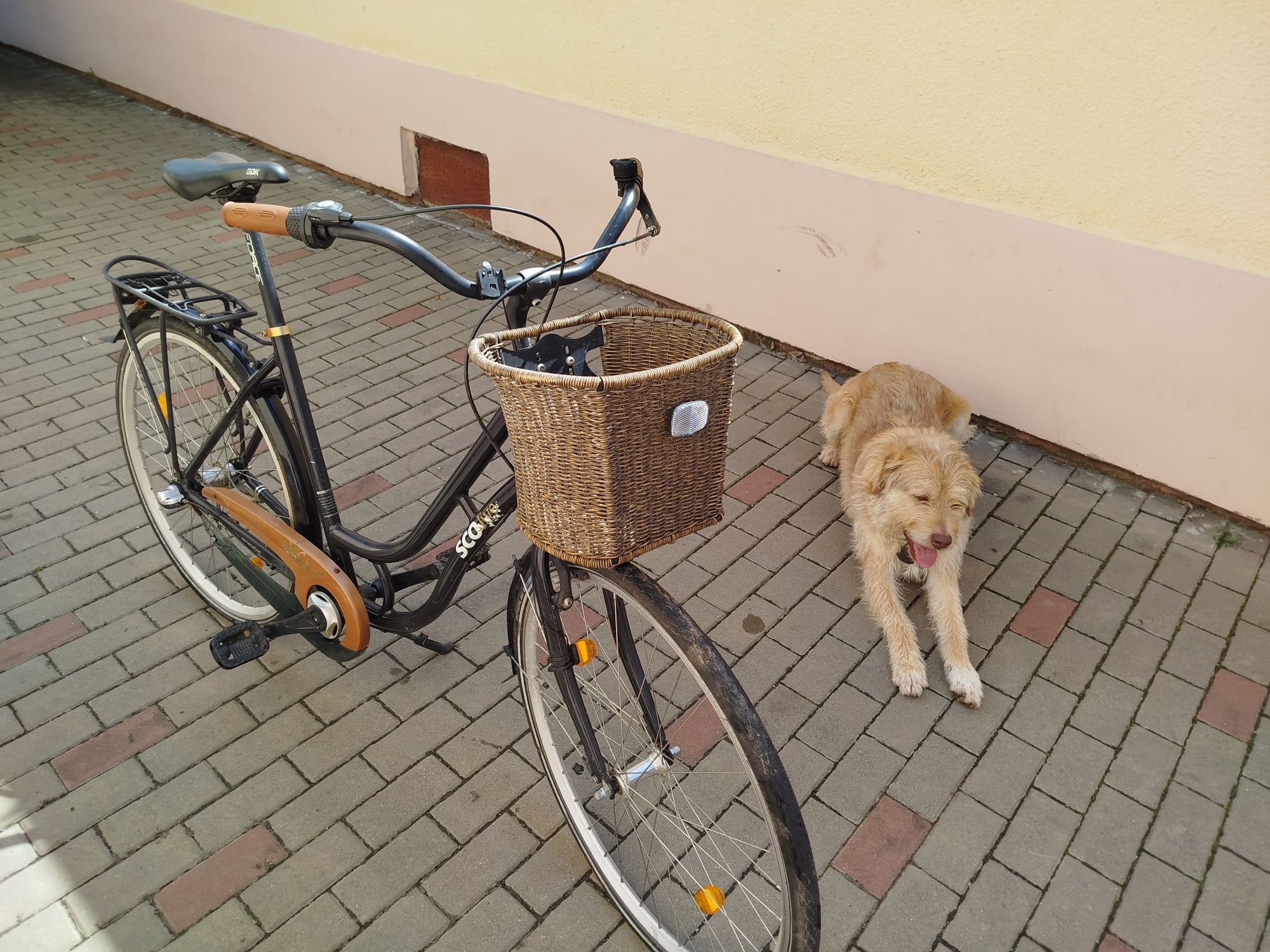 Biciclete de vânzare