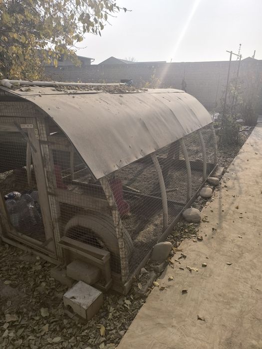 Товуқ хона сотилади фасад 2×4, баландлиги 1.5 метр