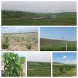 Агрокомплекс, Ферма, Молферма, Бог, Готовый бизнес. Тайёр бизнес