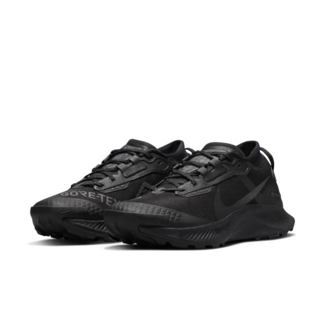 Nike Pegasus Trail 3 Gore-Tex