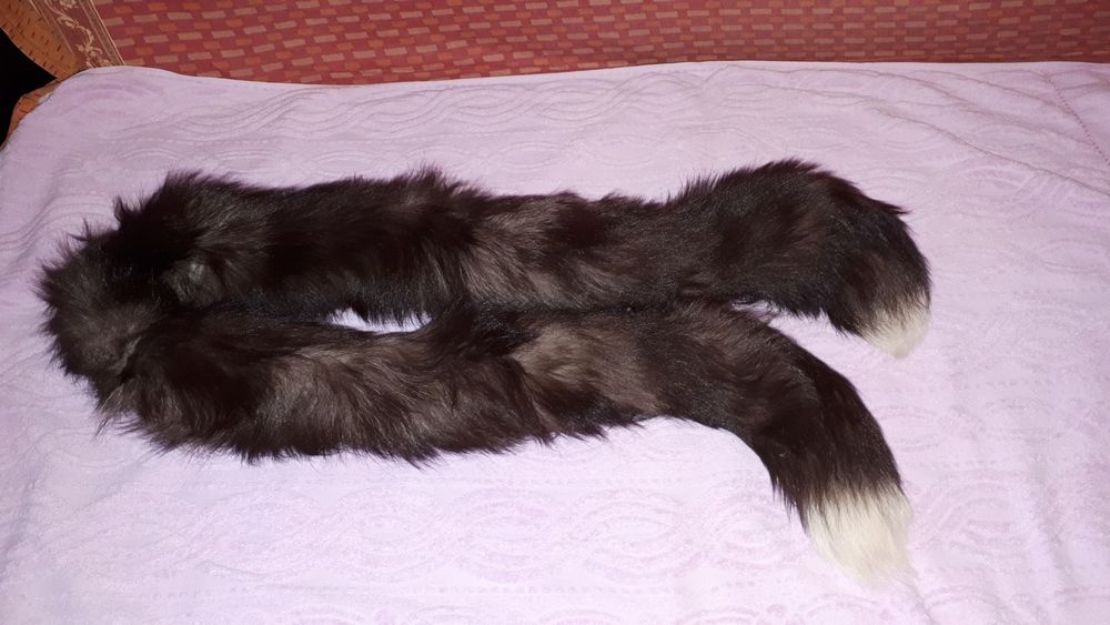 Guler vulpe argintie