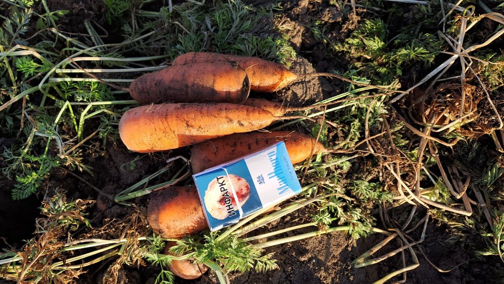 Продам марковь оптом от 20т