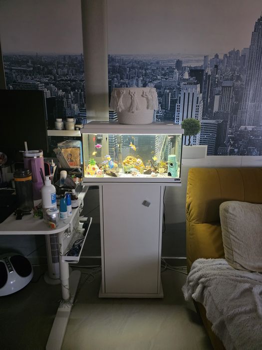 Vând acvariu complet echipat, în stare excelentă.