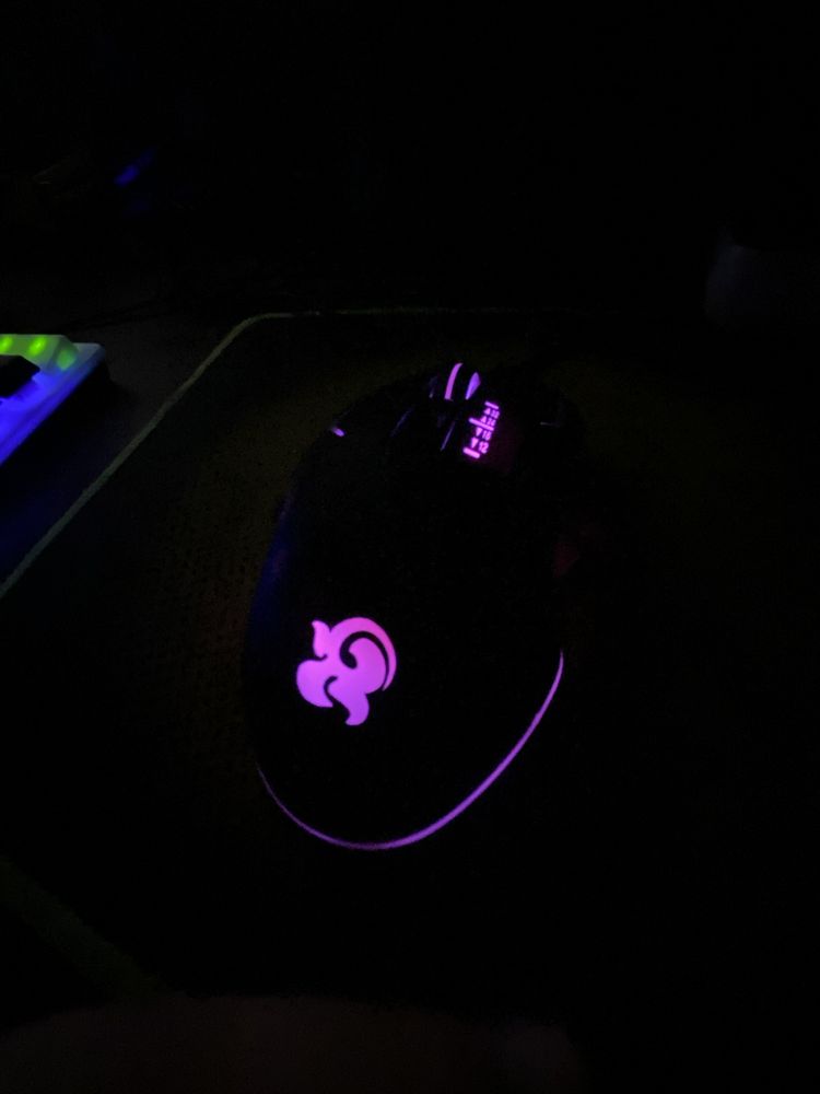 Mishka | Sichqoncha | mouse
