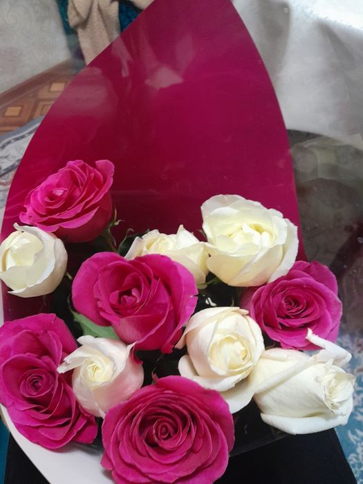 Красивый цветы роза