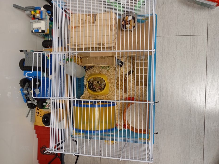 Vând cușcă pentru hamster