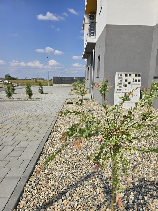 Apartamente Mosnita