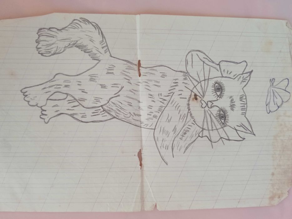 Скица скици старинни за бродерия на "ришелье", бод