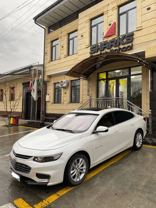 Srochna sotladi pul zarul