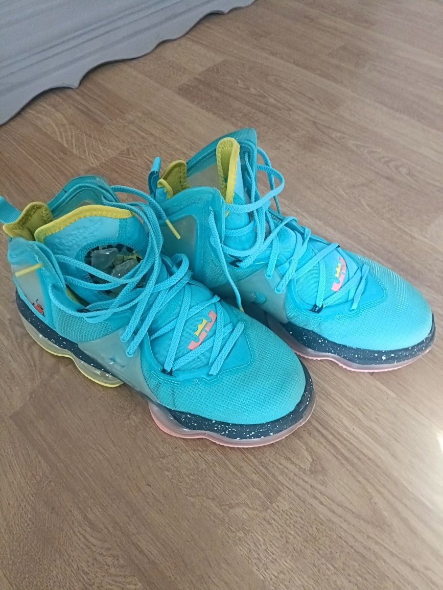Vind Nike Lebron 19 in