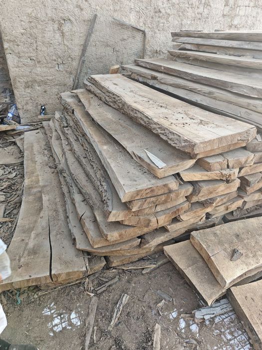 Yongo yasn dub chinor qayragoch bor