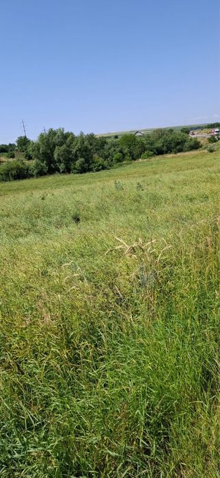 Vând teren dupa rulmentu