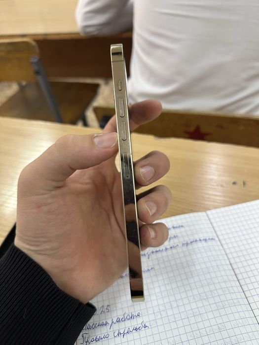 Iphone 13 pro maks