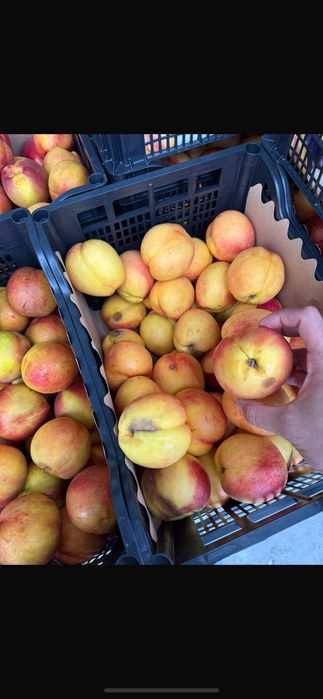 Vand nectarina si piersica tuica