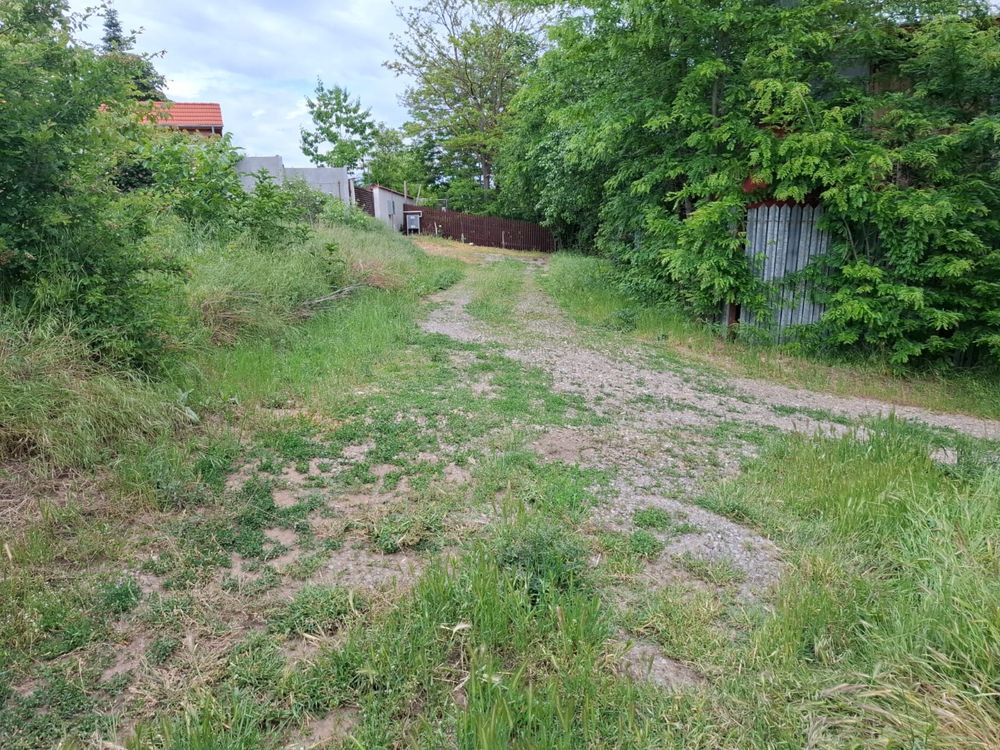 Teren intravilan-branesti ilfov-langa lac si padure