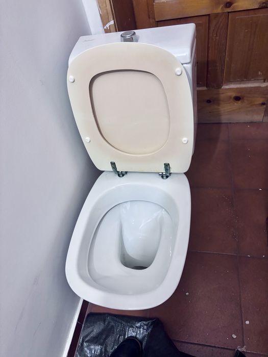 Монолитна бяла тоалетна чиния с казанче