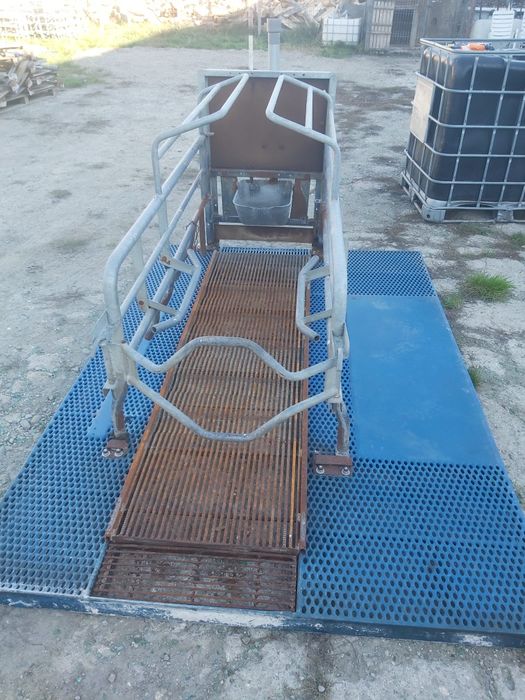 Hranitoare porci automate/Boxe fatare/Podele