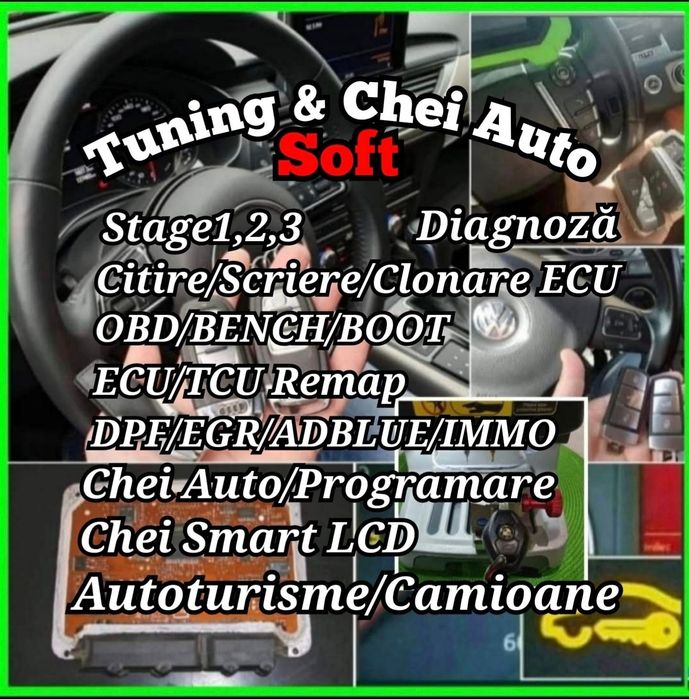 Stage1,2,3/Chei Auto/CipTuning/Dpf/Egr/Adblue/Imobilizator/Immo